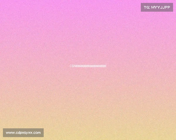 CBA赛事辽宁本钢男篮夺冠历程与未来展望辉煌纪实